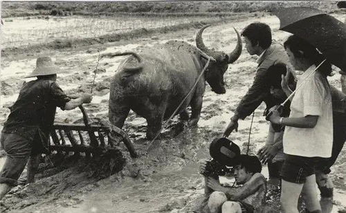 青春祭 沒有什么能夠阻擋，你對美麗的向往